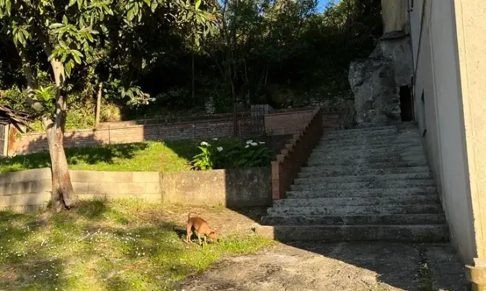 Rexer-Narni-CasaIndipendente-in-Strada-di-Massa-Narni-Altro