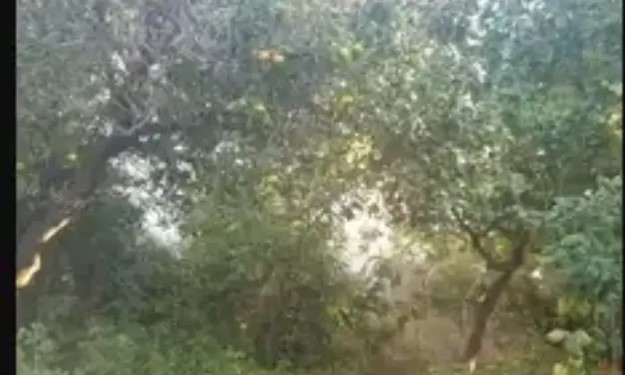 Rexer-Bovalino-Villetta-con-giardino-in-vendita-a-km-dal-mare-Terrazzo