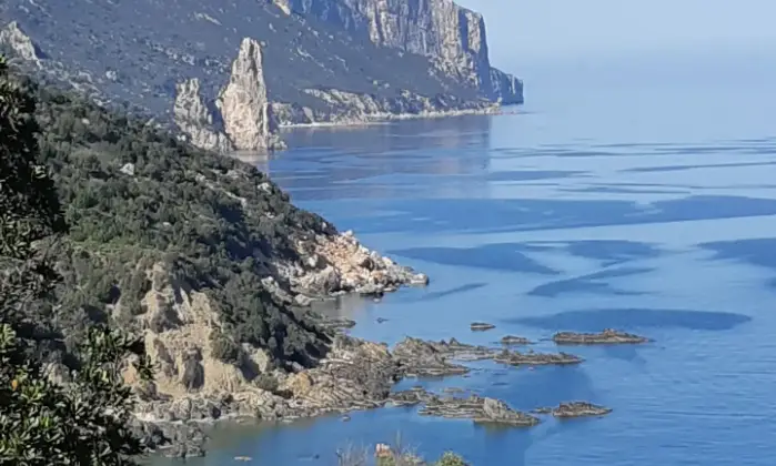 Rexer-Lotzorai-Casa-vacanze-sul-mare-in-Costa-orientale-Sardegna-Altro