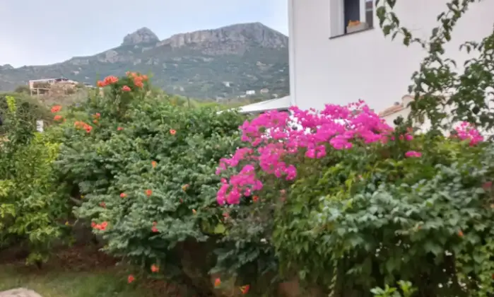 Rexer-Lotzorai-Casa-vacanze-sul-mare-in-Costa-orientale-Sardegna-Giardino