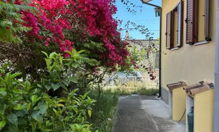 Rexer-Lotzorai-Casa-vacanze-sul-mare-in-Costa-orientale-Sardegna-Giardino