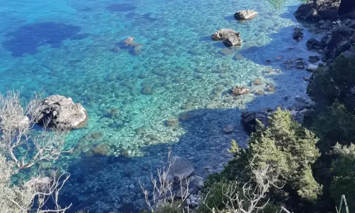 Rexer-Lotzorai-Casa-vacanze-sul-mare-in-Costa-orientale-Sardegna-Altro