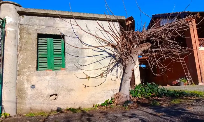Rexer-Predosa-Vendo-Casale-Rustico-Giardino