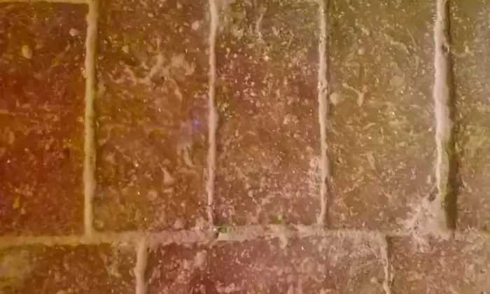 Rexer-Predosa-Vendo-Casale-Rustico-Altro