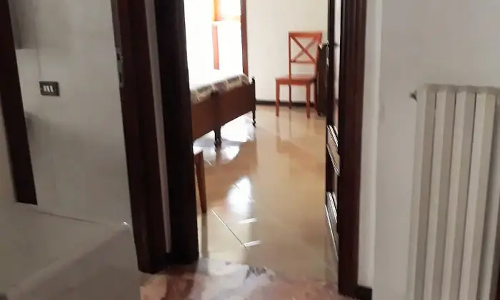 Rexer-Frosinone-AFFITTO-APPARTAMENTO-ARREDATO-in-zona-CENTRALE-Altro