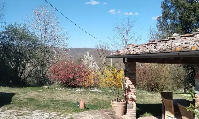 Rexer-Bucine-Colonica-ristrutturata-tra-Siena-e-Arezzo-Giardino