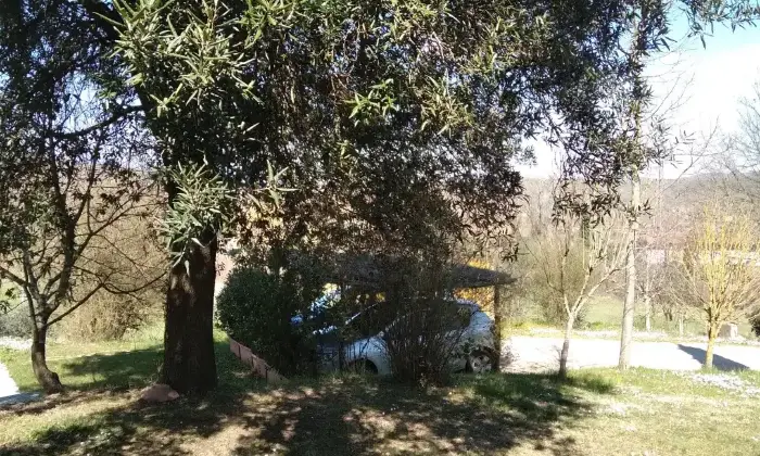 Rexer-Bucine-Colonica-ristrutturata-tra-Siena-e-Arezzo-Giardino
