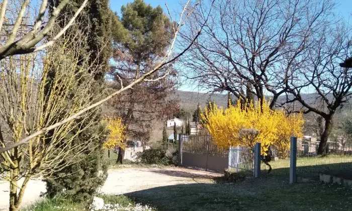 Rexer-Bucine-Colonica-ristrutturata-tra-Siena-e-Arezzo-Giardino