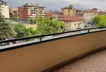 Rexer-Saluzzo-I-SOGNI-DI-VIOLA-Terrazzo
