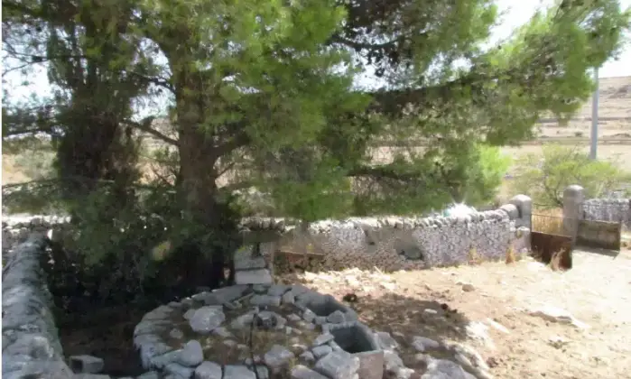 Rexer-Ragusa-Splendida-masseria-tradizionale-in-vendita-a-Ragusa-RG-Terrazzo