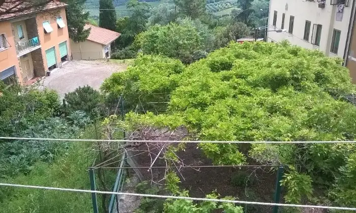 Rexer-Montaione-Villa-in-vendita-a-Montaione-FI-Giardino