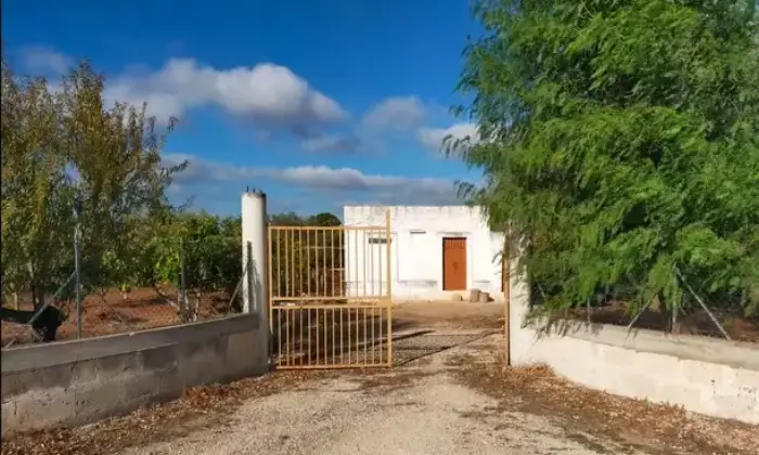 Rexer-Francavilla-Fontana-Vendesi-casa-con-terreno-in-contrada-Caniglia-Terrazzo