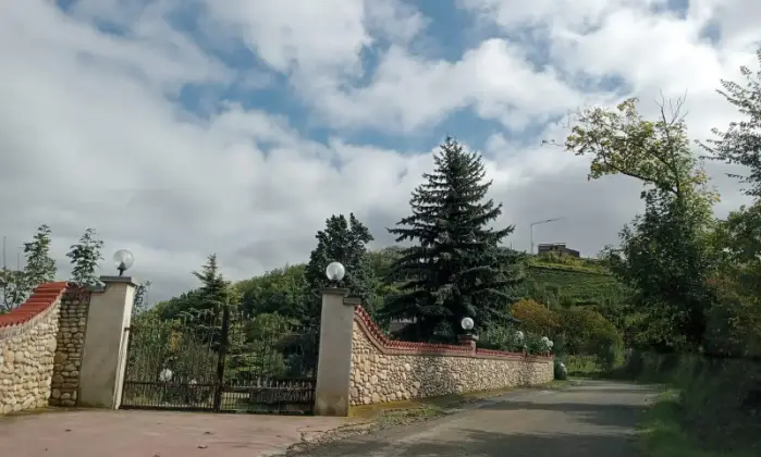 Rexer-Canelli-Villa-grande-in-vendita-sulle-colline-di-CANELLI-AT-Altro