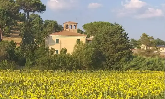 Rexer-Magione-Casale-in-vendita-in-via-del-MaceroneCollesanto-Magione-Terrazzo