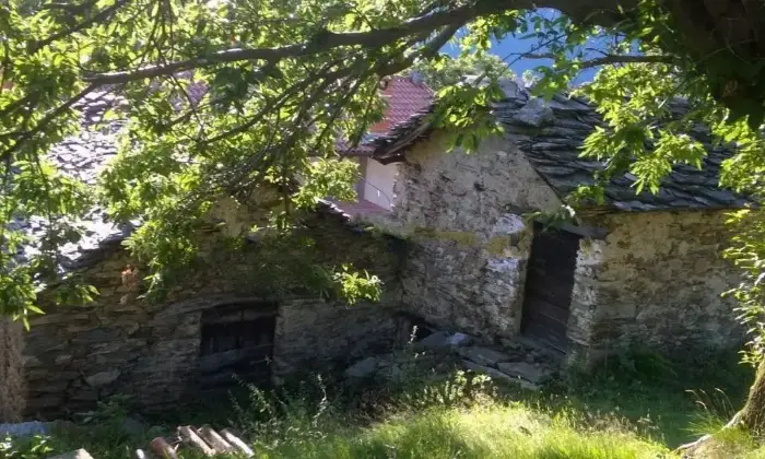 Rexer-Vercana-Baita-in-vendita-in-Localit-Verscida-Vercana-Giardino