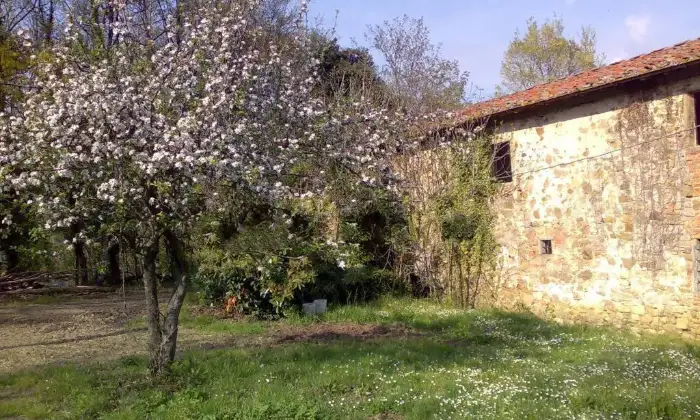 Rexer-Pontassieve-Vendesi-Casa-colonica-via-dellArgomenna-Pontassieve-Giardino