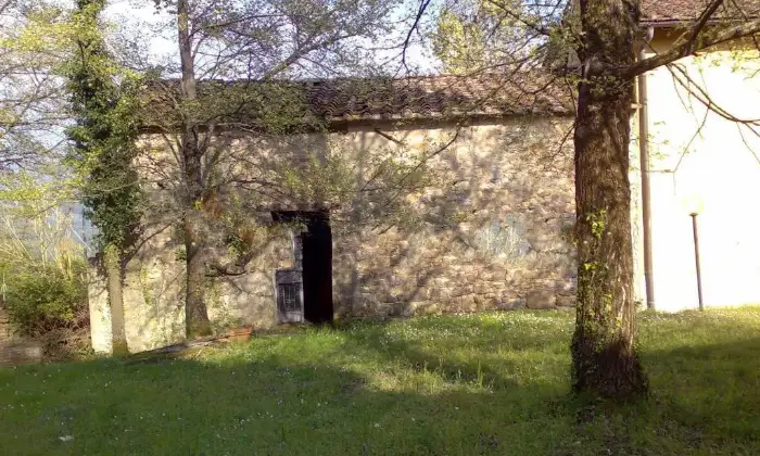 Rexer-Pontassieve-Vendesi-Casa-colonica-via-dellArgomenna-Pontassieve-Giardino