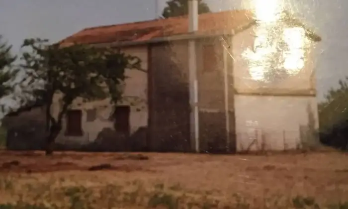 Rexer-Taglio-di-Po-Casa-colonica-via-Abruzzo-LOca-Taglio-di-Po-Giardino