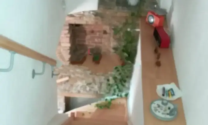 Rexer-Santa-Luce-Vendesi-appartamento-via-del-Castello-Centro-Santa-Luce-Altro