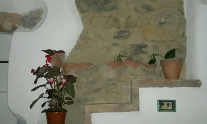 Rexer-Santa-Luce-Vendesi-appartamento-via-del-Castello-Centro-Santa-Luce-Altro