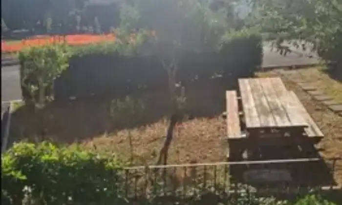 Rexer-Scansano-Villetta-a-schiera-in-vendita-a-SCANSANO-GR-Giardino