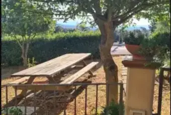Rexer-Scansano-Villetta-a-schiera-in-vendita-a-SCANSANO-GR-Giardino