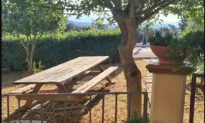 Rexer-Scansano-Villetta-a-schiera-in-vendita-a-SCANSANO-GR-Giardino