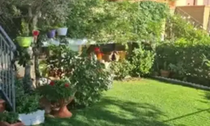 Rexer-Scansano-Villetta-a-schiera-in-vendita-a-SCANSANO-GR-Giardino
