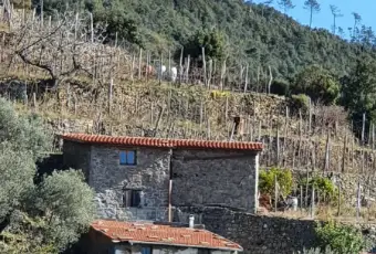 Rexer-La-Spezia-Casa-in-vendita-in-Localit-Schiara-a-La-Spezia-Terrazzo