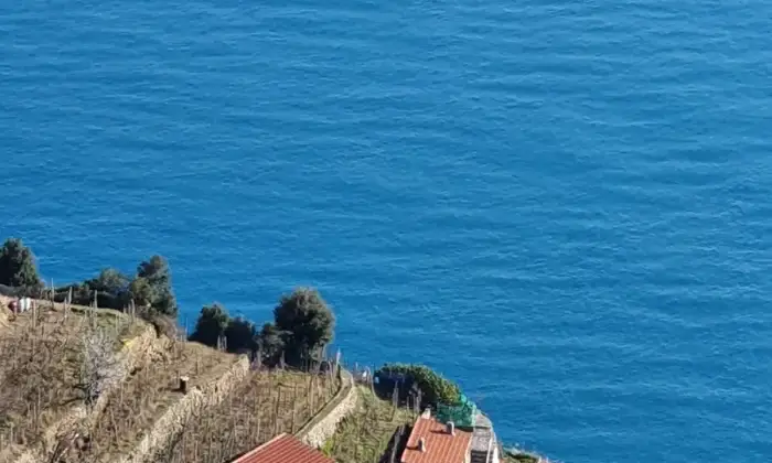 Rexer-La-Spezia-Casa-in-vendita-in-Localit-Schiara-a-La-Spezia-Terrazzo