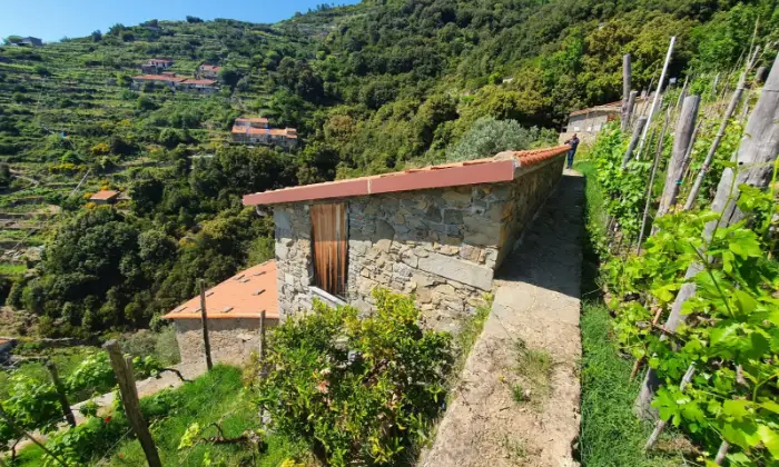 Rexer-La-Spezia-Casa-in-vendita-in-Localit-Schiara-a-La-Spezia-Giardino