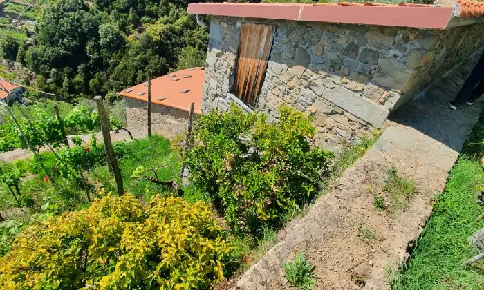 Rexer-La-Spezia-Casa-in-vendita-in-Localit-Schiara-a-La-Spezia-Giardino