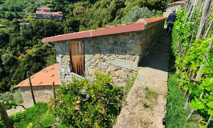 Rexer-La-Spezia-Casa-in-vendita-in-Localit-Schiara-a-La-Spezia-Giardino