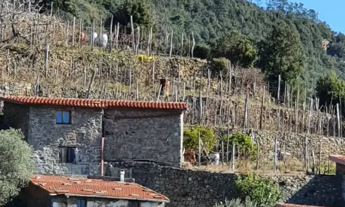 Rexer-La-Spezia-Casa-in-vendita-in-Localit-Schiara-a-La-Spezia-Terrazzo