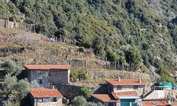 Rexer-La-Spezia-Casa-in-vendita-in-Localit-Schiara-a-La-Spezia-Terrazzo