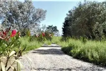 Rexer-Montespertoli-Vendesi-villa-in-Strada-Provinciale-CertaldoLungagnanaMontespertoli-Montespertoli-Altro