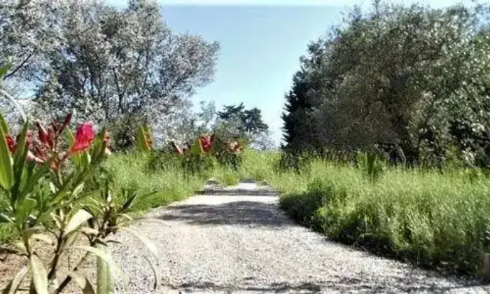Rexer-Montespertoli-Vendesi-villa-in-Strada-Provinciale-CertaldoLungagnanaMontespertoli-Montespertoli-Altro