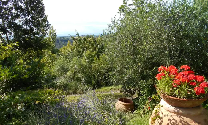 Rexer-Montespertoli-Vendesi-villa-in-Strada-Provinciale-CertaldoLungagnanaMontespertoli-Montespertoli-Giardino