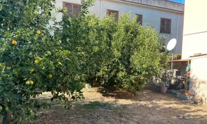 Rexer-Cassano-allIonio-Appartamento-con-giardino-in-villa-bifamiliare-Terrazzo