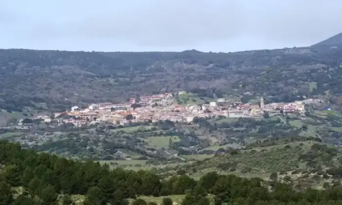 Rexer-Morgongiori-Vendesi-casa-vacanze-Sardegna-montagnamare-Giardino