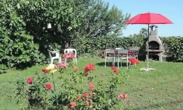 Rexer-La-Morra-Vendesi-attico-in-via-Borgata-Simane-La-Morra-Giardino