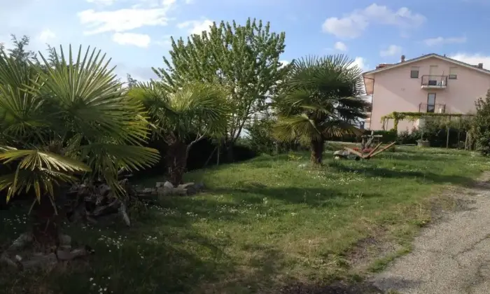 Rexer-La-Morra-Vendesi-attico-in-via-Borgata-Simane-La-Morra-Giardino