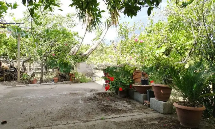 Rexer-SantIlario-dello-Ionio-Vendesi-Terratetto-unifamiliare-Contrada-Cardesi-SantIlario-dello-Ionio-Giardino