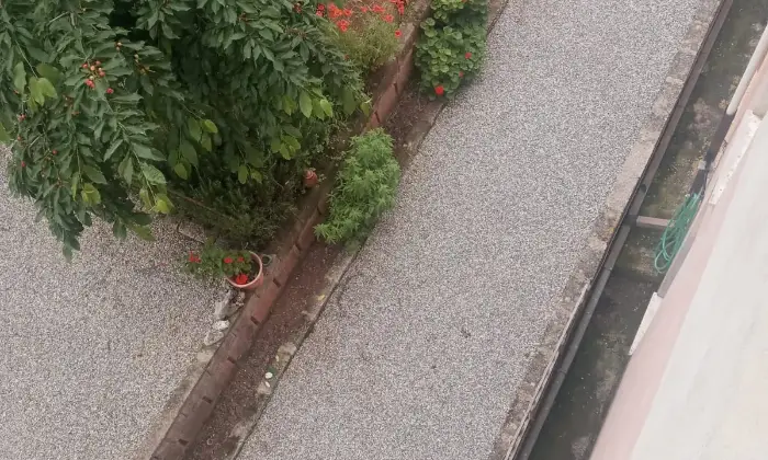 Rexer-Castrovillari-Vendesi-palazzina-di-piani-garage-giardinoterrazza-Giardino