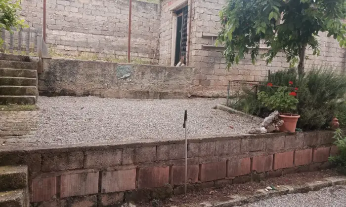 Rexer-Castrovillari-Vendesi-palazzina-di-piani-garage-giardinoterrazza-Giardino
