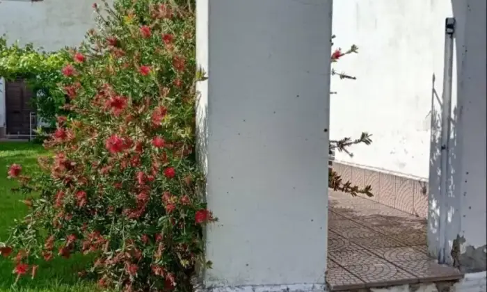 Rexer-Ronciglione-Casale-Strada-Provinciale-Massarella-Ronciglione-Giardino