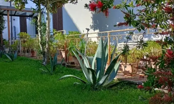 Rexer-Ronciglione-Casale-Strada-Provinciale-Massarella-Ronciglione-Giardino