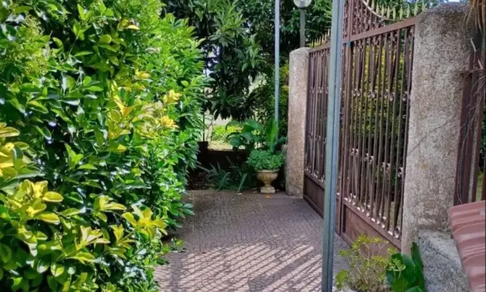 Rexer-Ronciglione-Casale-Strada-Provinciale-Massarella-Ronciglione-Giardino