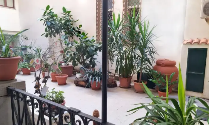 Rexer-Reggio-di-Calabria-Loft-Magna-Grecia-Centro-Storico-Reggio-Calabria-Altro