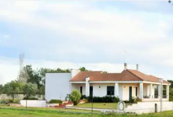 Rexer-Castrignano-d-Greci-Villa-unifamiliare-in-vendita-a-Castrignano-de-Greci-LE-Giardino